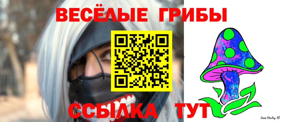 Галлюциногенные грибы мицелий Касимов